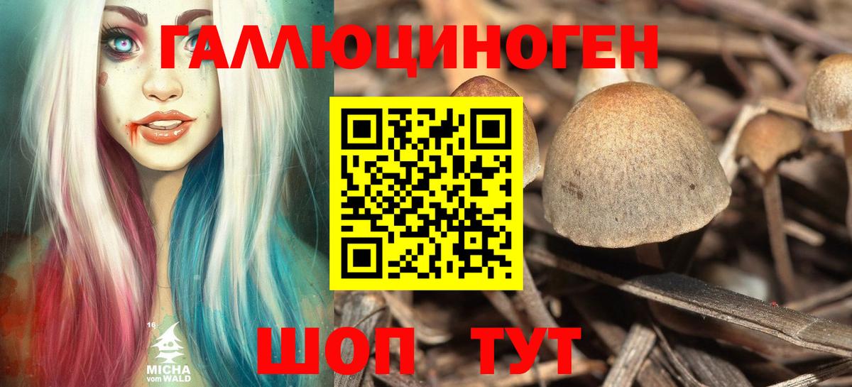 Кушва  Псилоцибиновые грибы мухоморы  Вход с VPN 